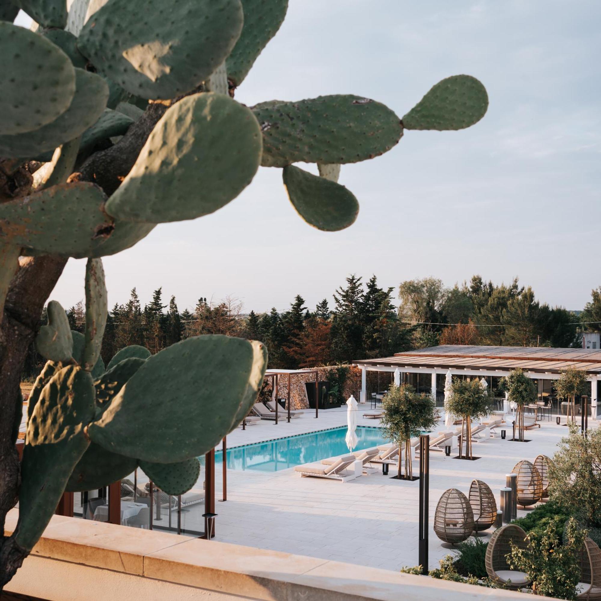 Masseria Corsano Nardò Extérieur photo